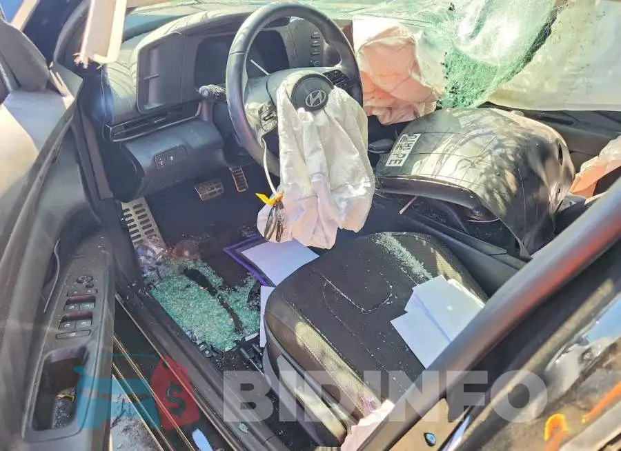KMHLM4DG9SU037989 Photo# 8