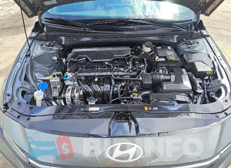 KMHLM4DGXTU225602 Photo# 11