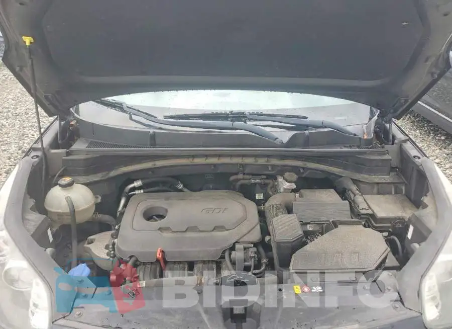 KNDPMCAC5H7295967 Photo# 12