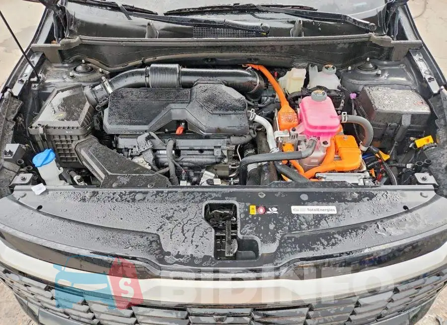 KNDPXDDGXT7337151 Photo# 12