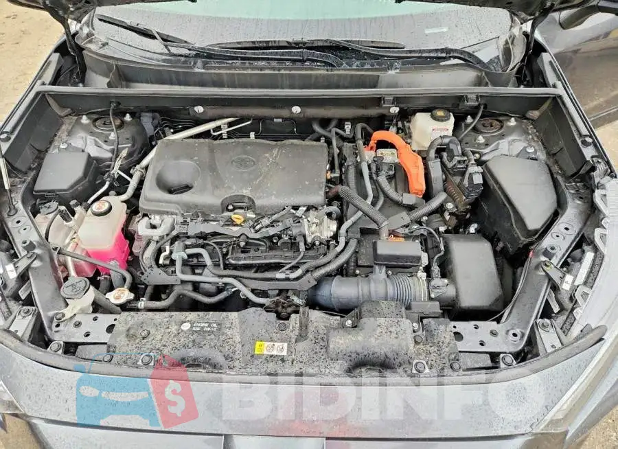 4T3E6RFV9PU122406 Photo# 12
