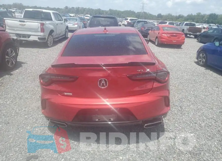 19UUB5F55MA015736 Photo# 6