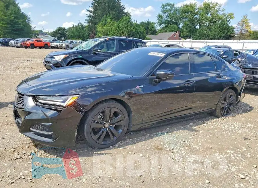 19UUB6F56MA007134 Photo# 1