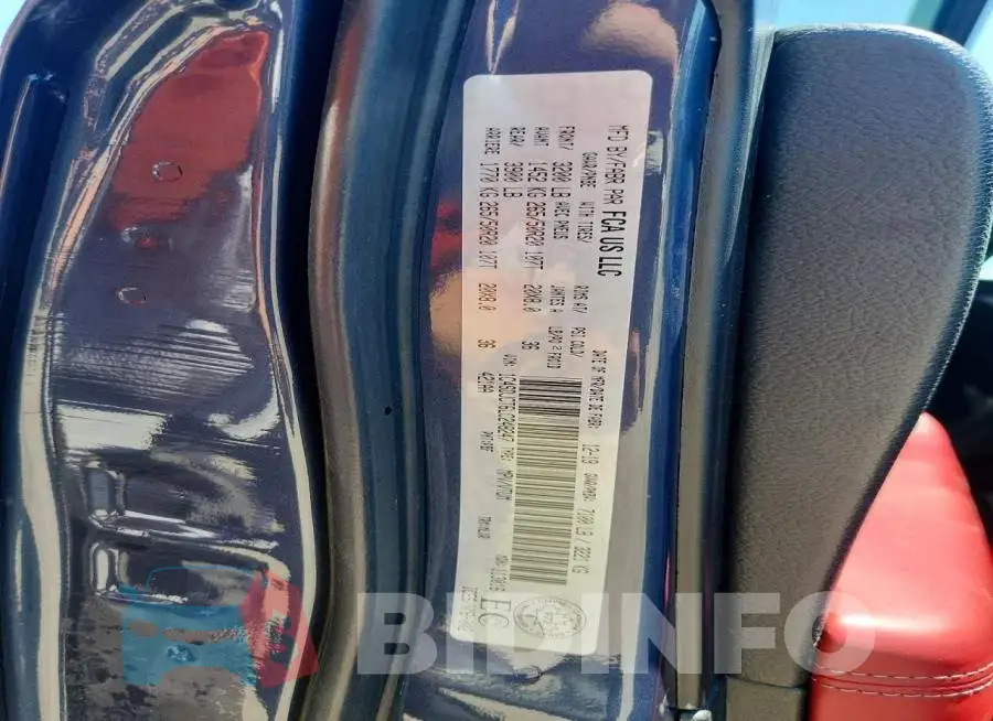 1C4SDJCT6LC248247 Photo# 12