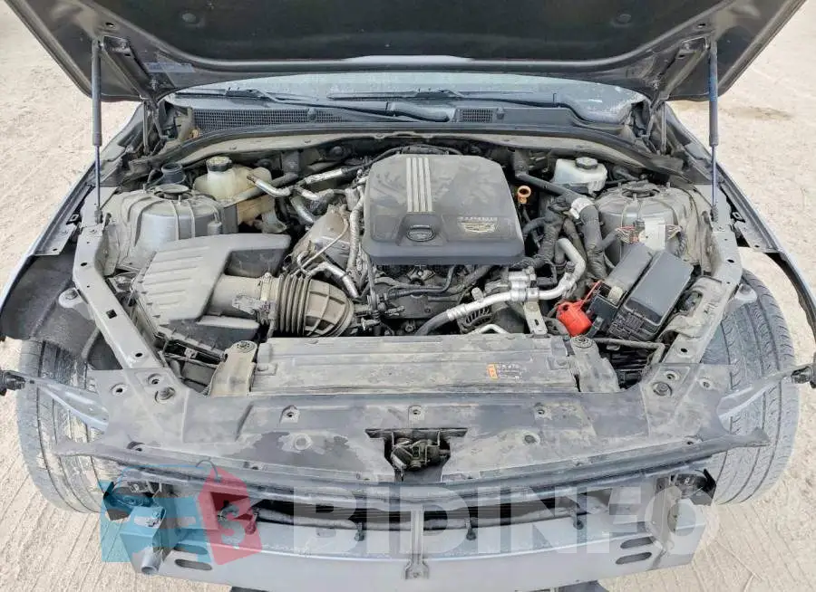 1G6DP5RK9M0134044 Photo# 12