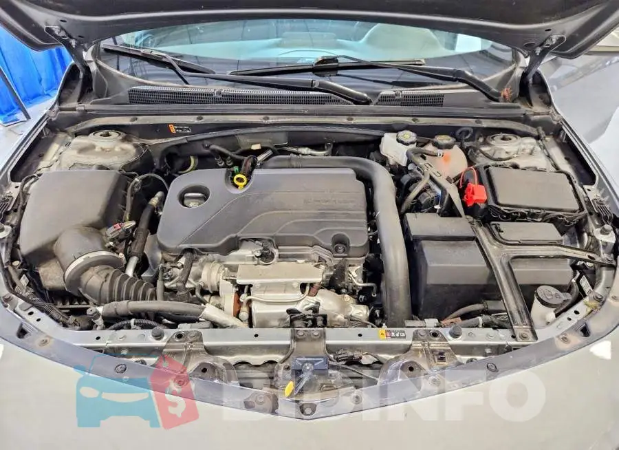 1G1ZD5ST5RF246349 Photo# 11