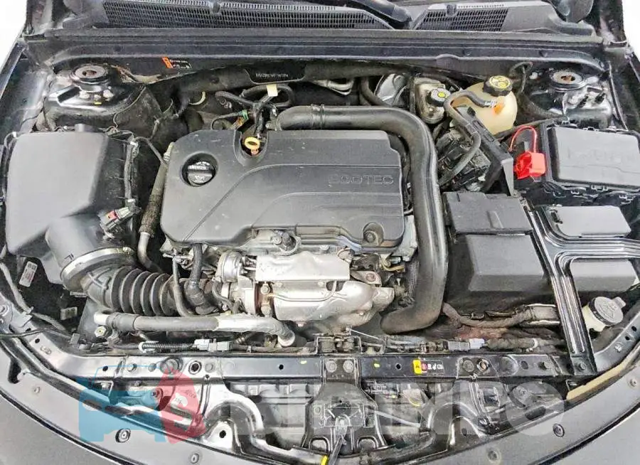 1G1ZD5ST6KF155189 Photo# 11