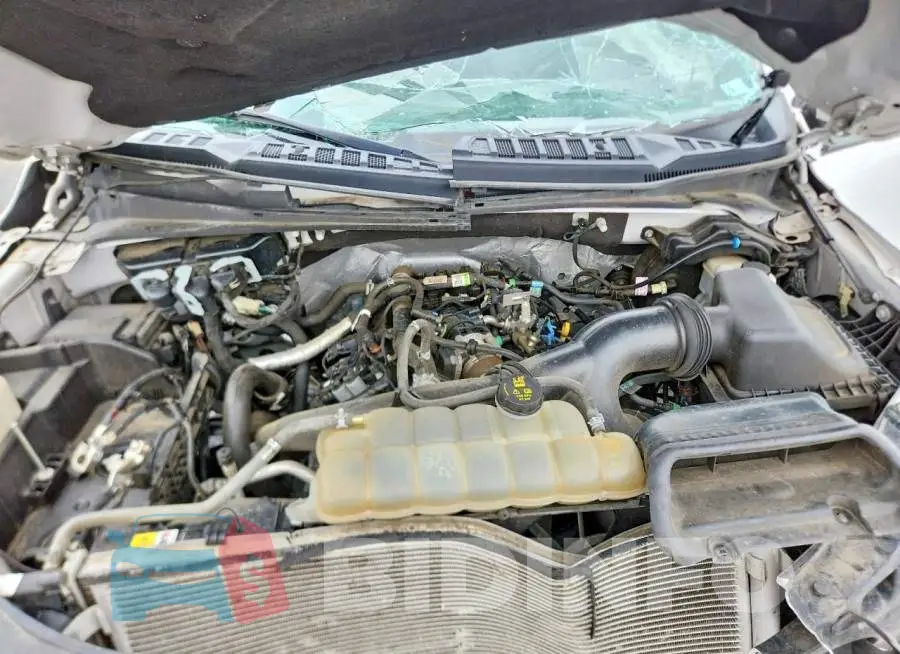 1FTEW1EP7LFA81323 Photo# 11