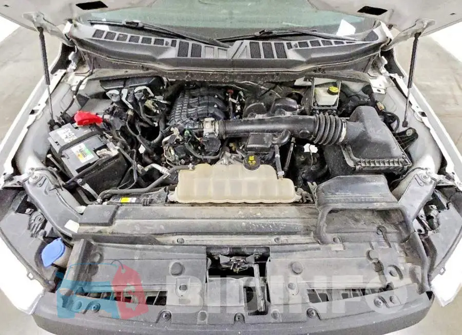 1FTMF1CB4MKD85981 Photo# 11