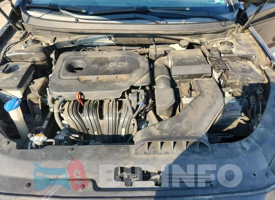 5NPE34AF8KH796820 Photo# 11