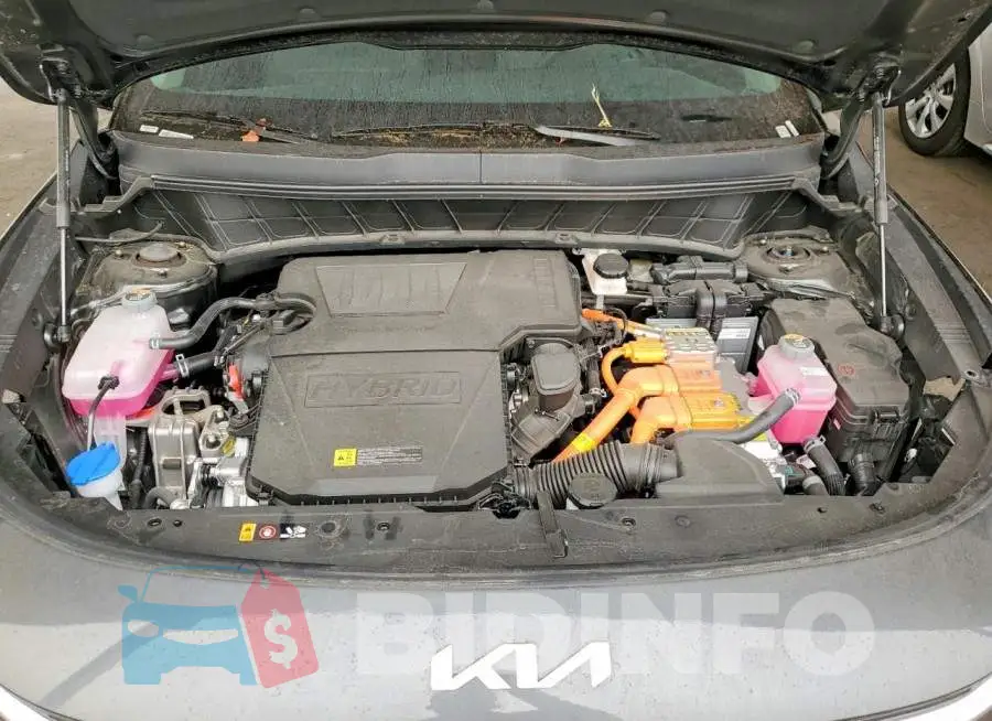 KNDCP3LE7T5343851 Photo# 12