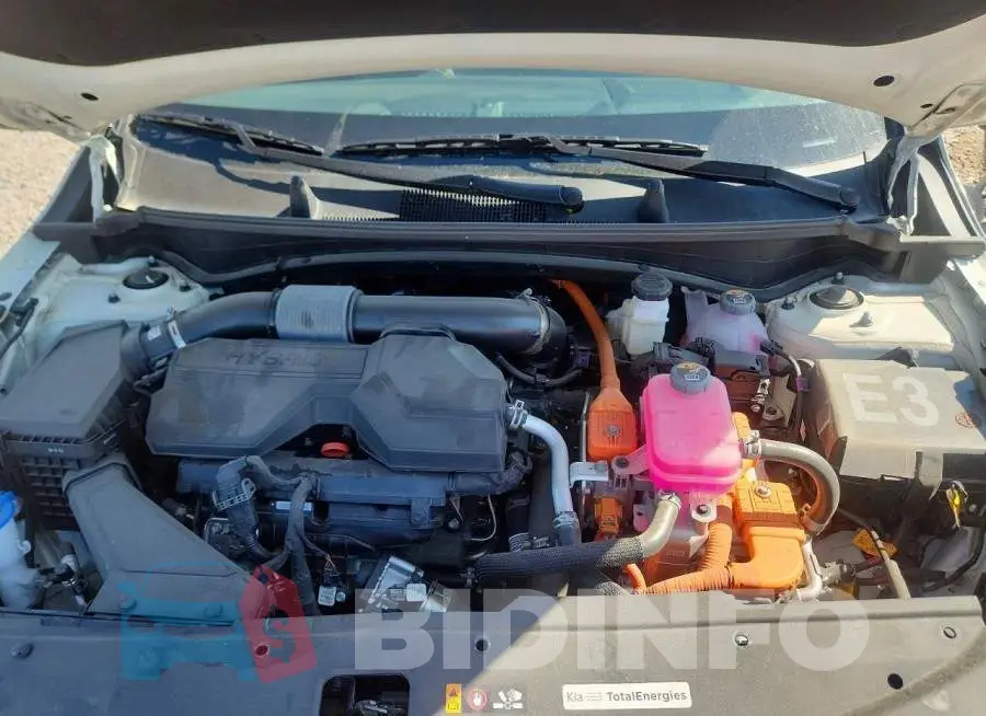 KNDPVDDG0T7319862 Photo# 12