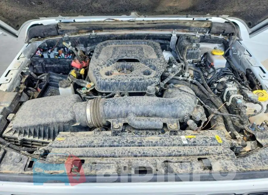 1C4PJXDN1SW524090 Photo# 12