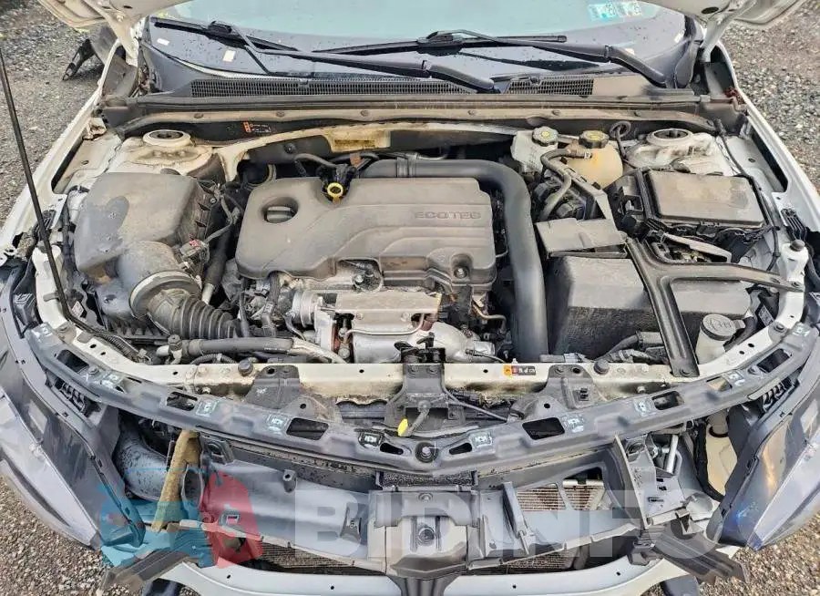 1G1ZD5ST5PF176588 Photo# 11