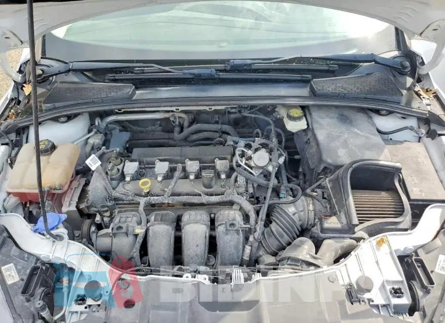 1FADP3M22HL248146 Photo# 11