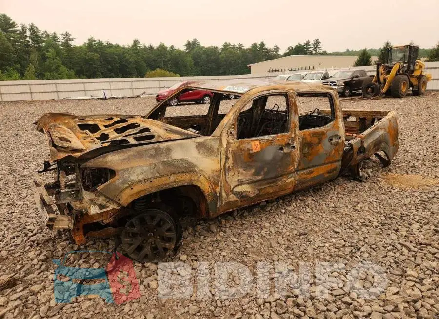 3TMCZ5AN5LM316862 Photo# 1