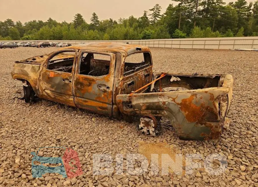 3TMCZ5AN5LM316862 Photo# 2