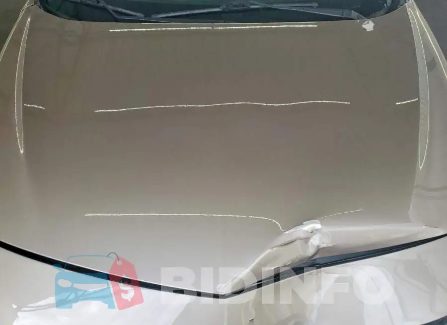 1G1ZD5ST9RF217288 Photo# 11