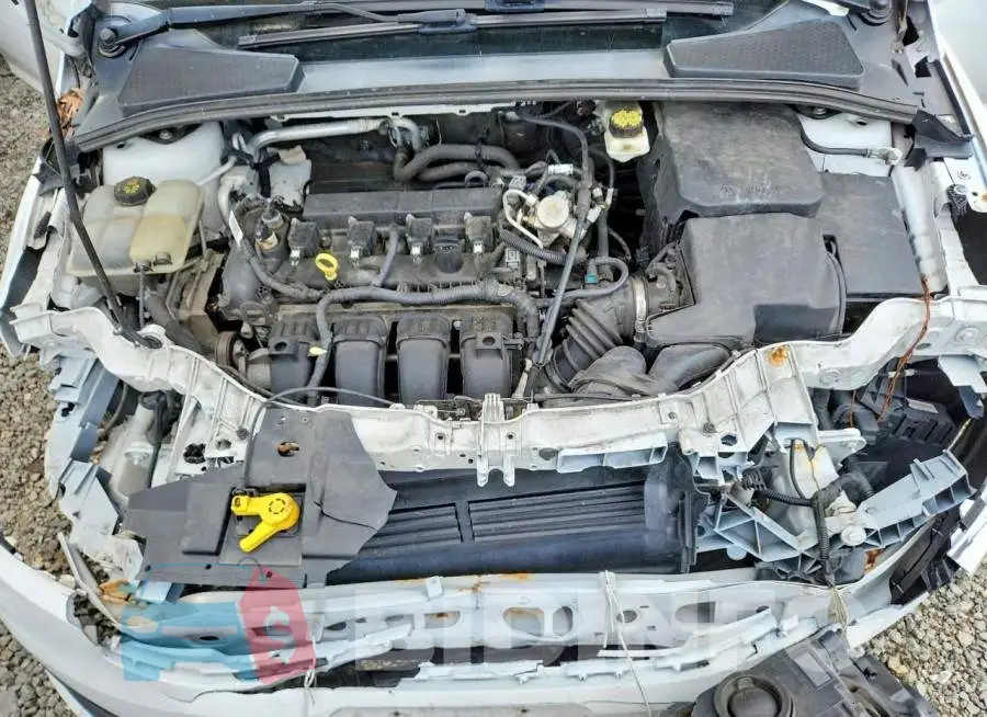 1FADP3K20HL249394 Photo# 11