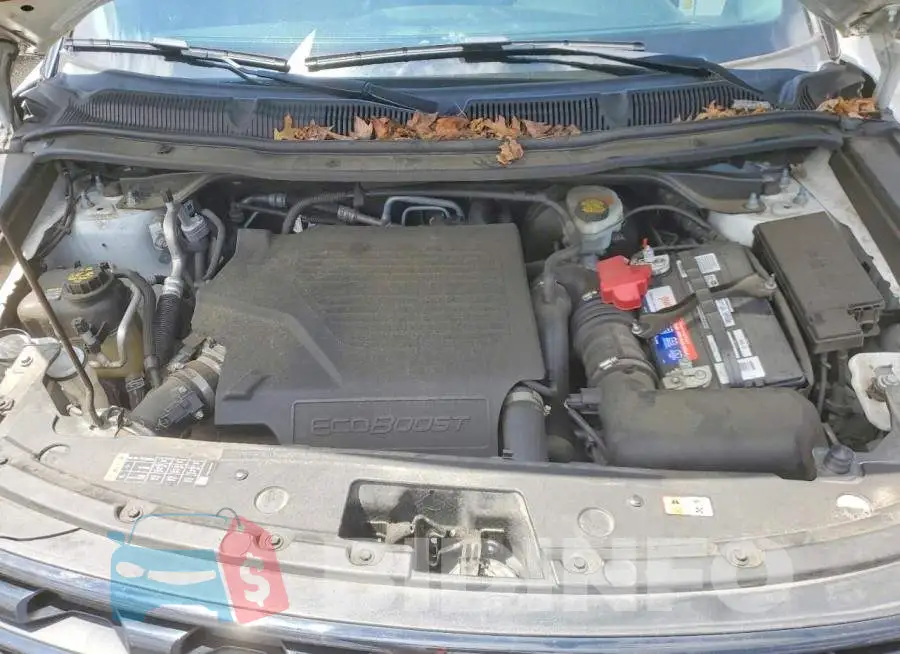 1FM5K8GT6HGD51931 Photo# 12