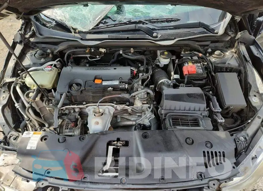 19XFC2F51HE206169 Photo# 11