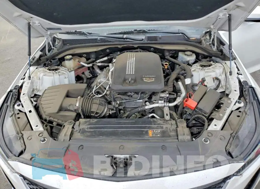 1G6DN5RK8L0130622 Photo# 11