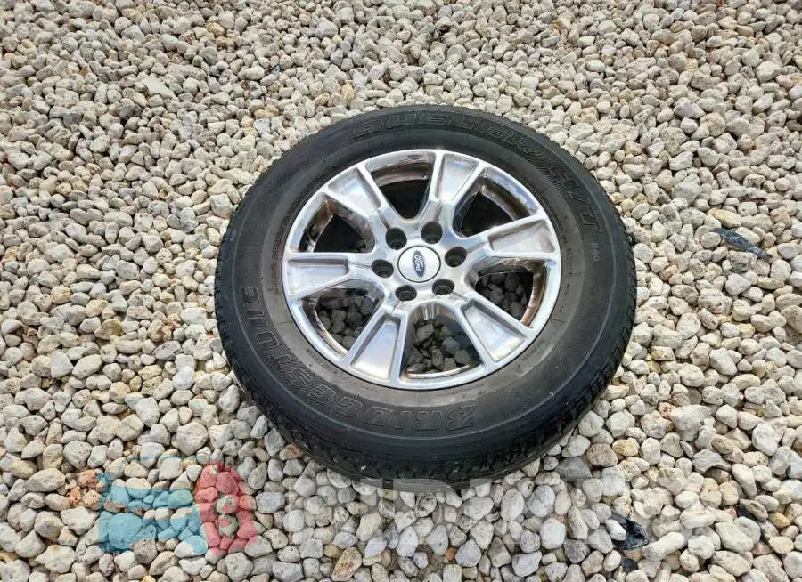 1FTEW1CP6HKD82845 Photo# 12