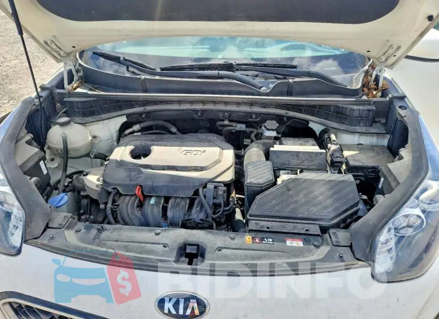 KNDPM3AC5M7867744 Photo# 12