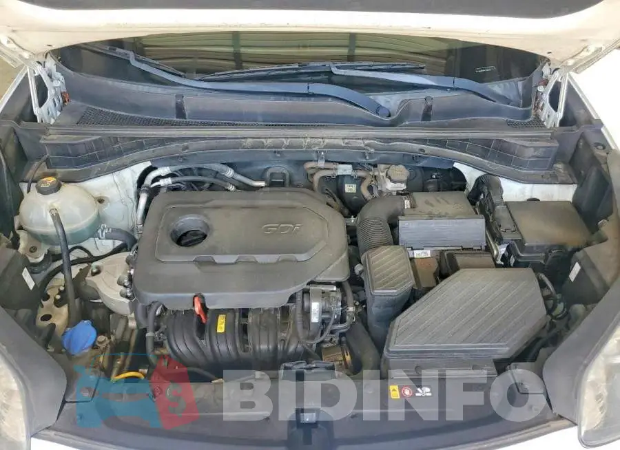 KNDPN3AC7J7466267 Photo# 12