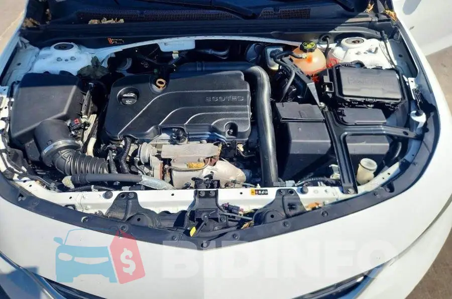 1G1ZD5ST3JF192019 Photo# 11