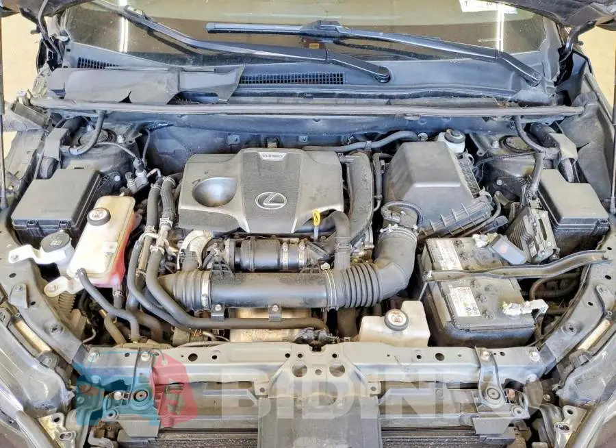 JTJSARDZ6M2256833 Photo# 12