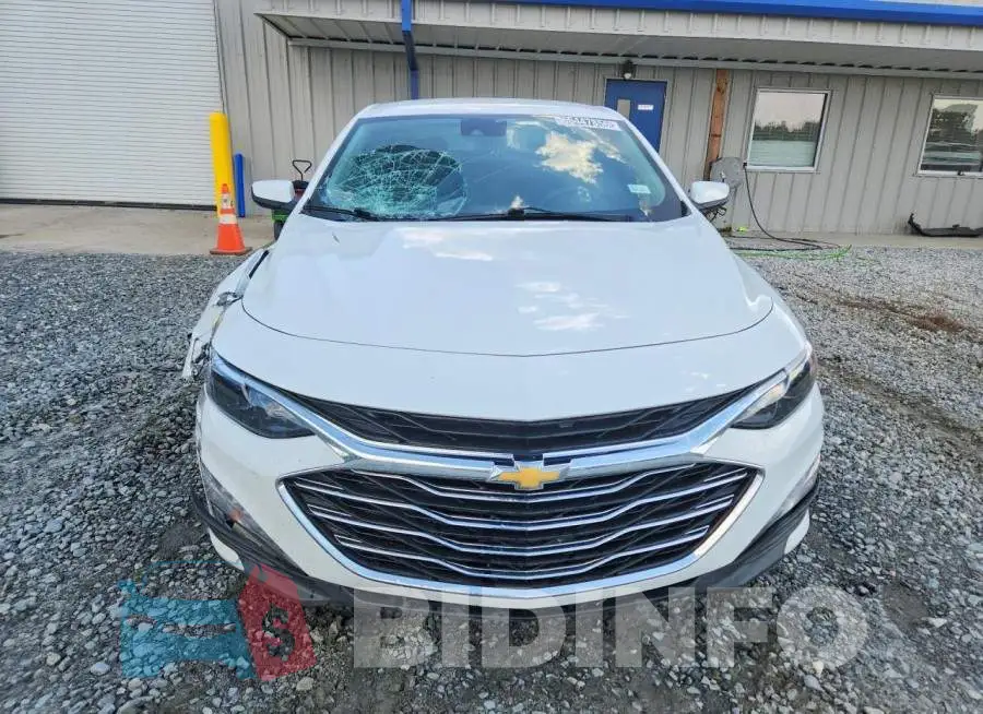 1G1ZD5ST3RF163437 Photo# 5