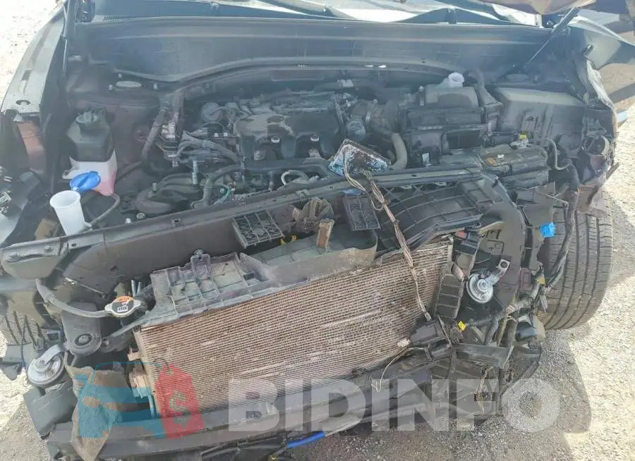 KM8R2DGE0PU617763 Photo# 12