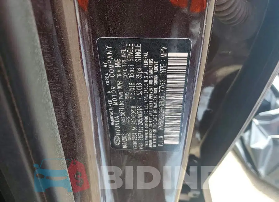 KM8R2DGE0PU617763 Photo# 13