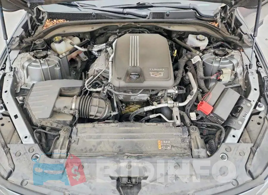 1G6DP5RK8P0135674 Photo# 11