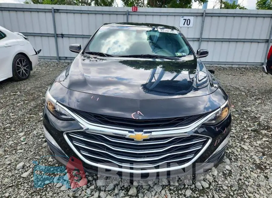 1G1ZD5ST1MF061529 Photo# 5