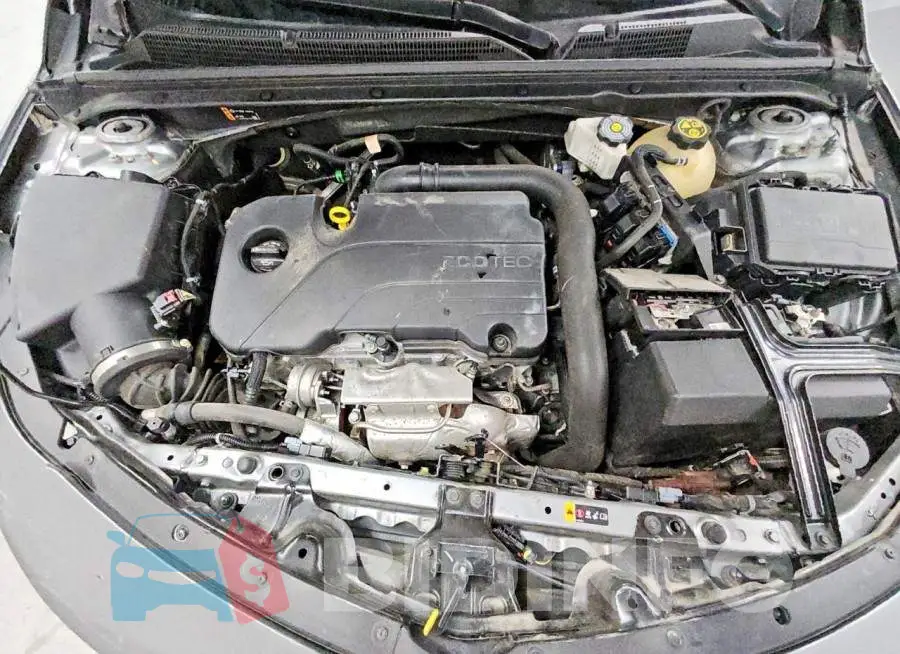 1G1ZD5STXPF192415 Photo# 11