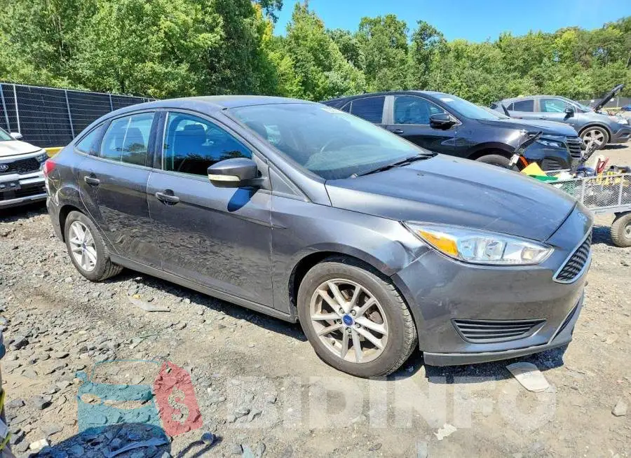 1FADP3F24JL209934 Photo# 4