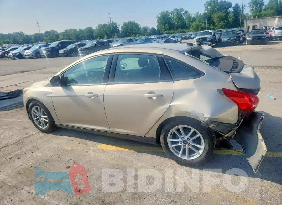1FADP3F2XHL307442 Photo# 2