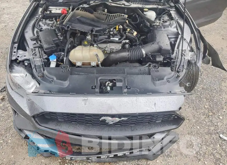 1FATP8UH8M5120831 Photo# 11