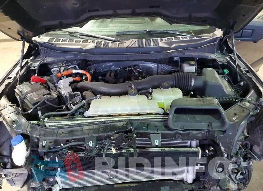 1FTFW3LD8RFA62491 Photo# 11