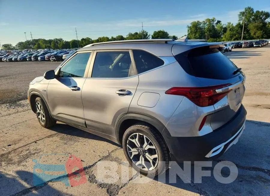 KNDERCAA1M7184253 Photo# 2