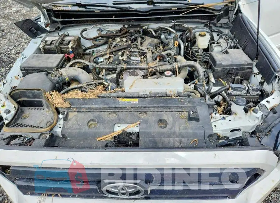 3TYLB5JN1RT004216 Photo# 11