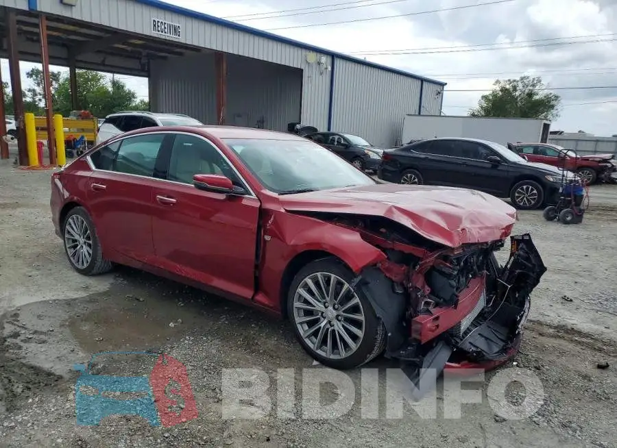 1G6DN5RK8R0130869 Photo# 4