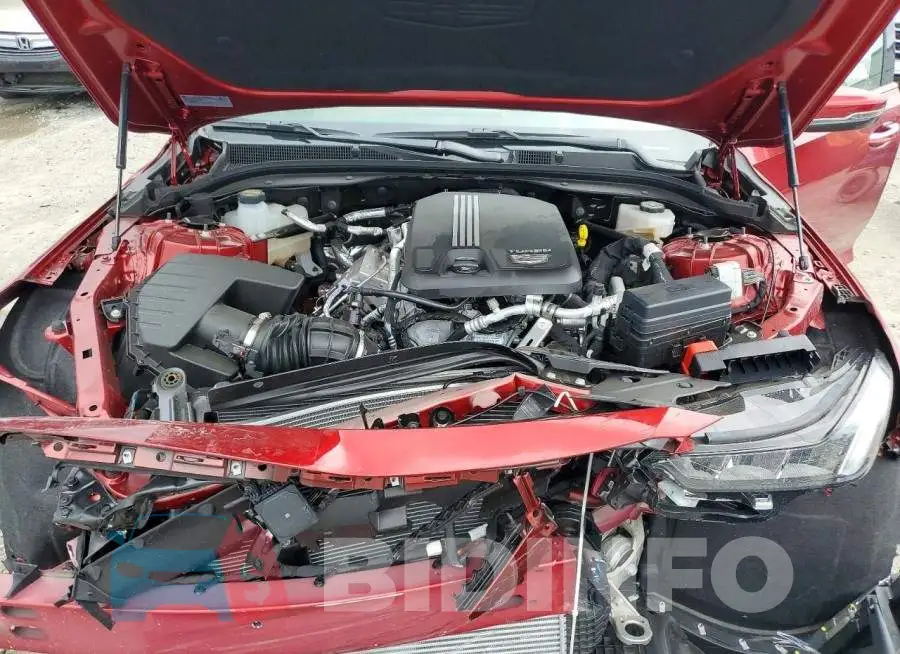 1G6DN5RK8R0130869 Photo# 11