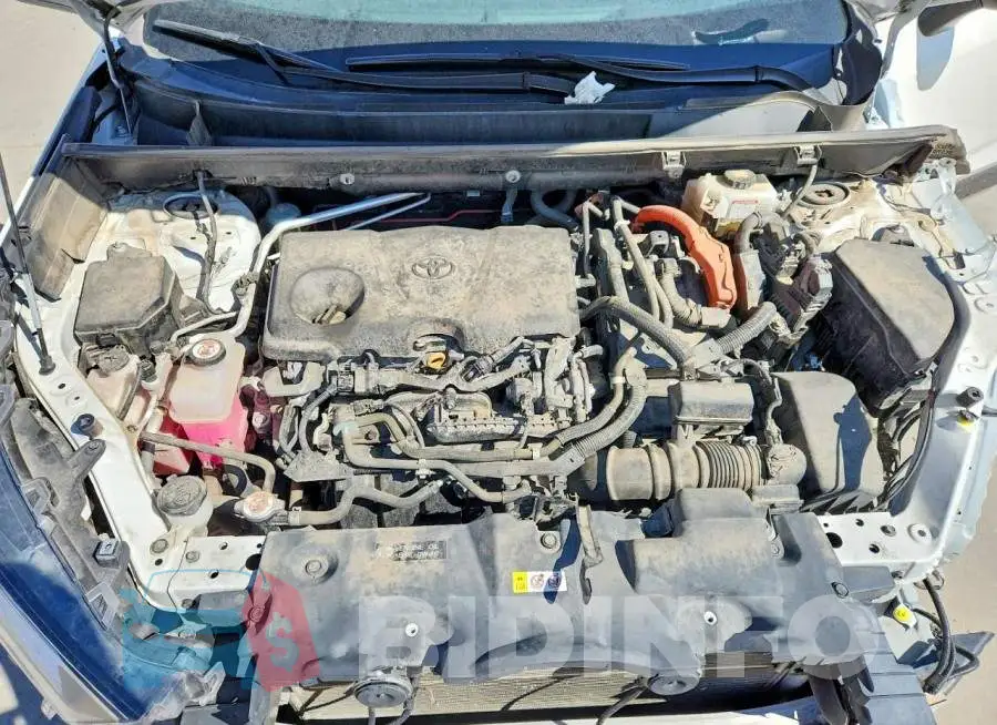 2T3EWRFV8KW014187 Photo# 11
