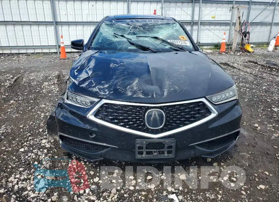 19UUB1F52KA010368 Photo# 5