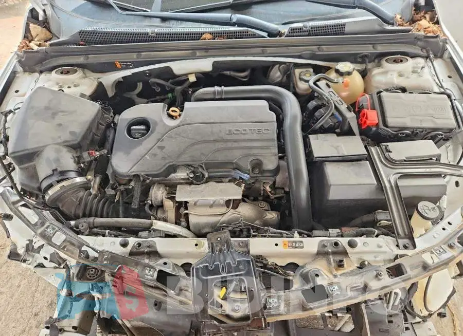 1G1ZD5ST1KF174376 Photo# 11