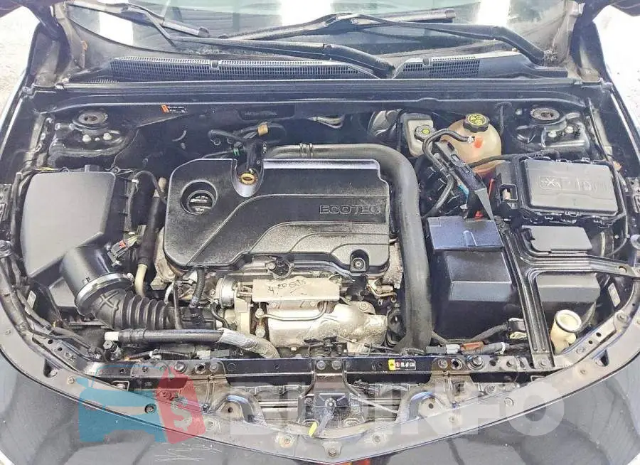 1G1ZD5ST7KF162460 Photo# 11