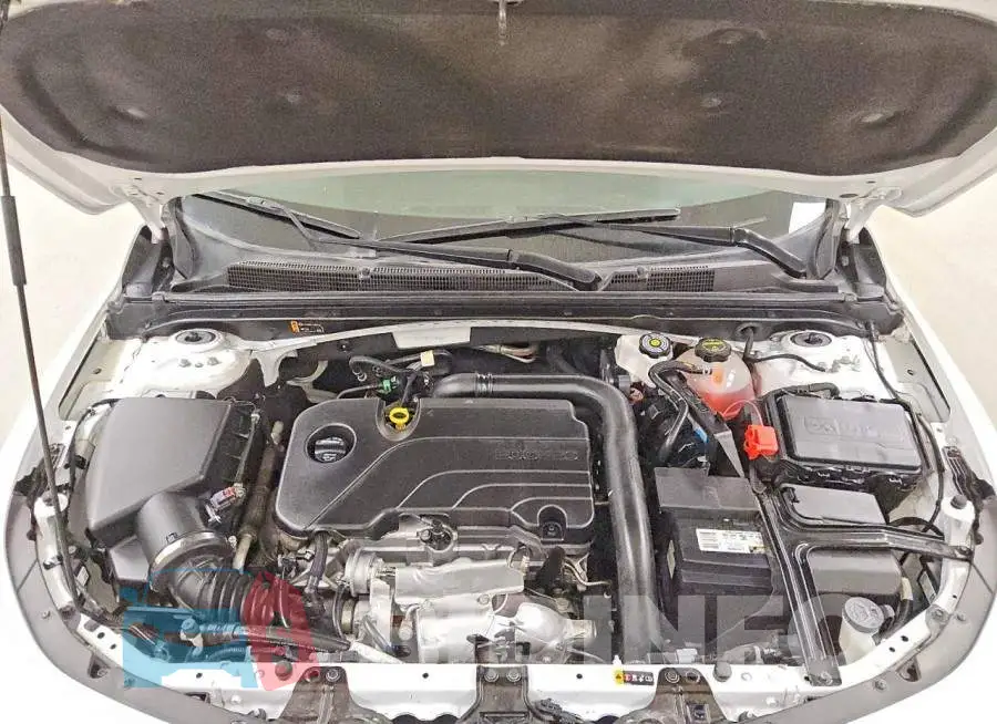 1G1ZG5ST9RF204905 Photo# 11